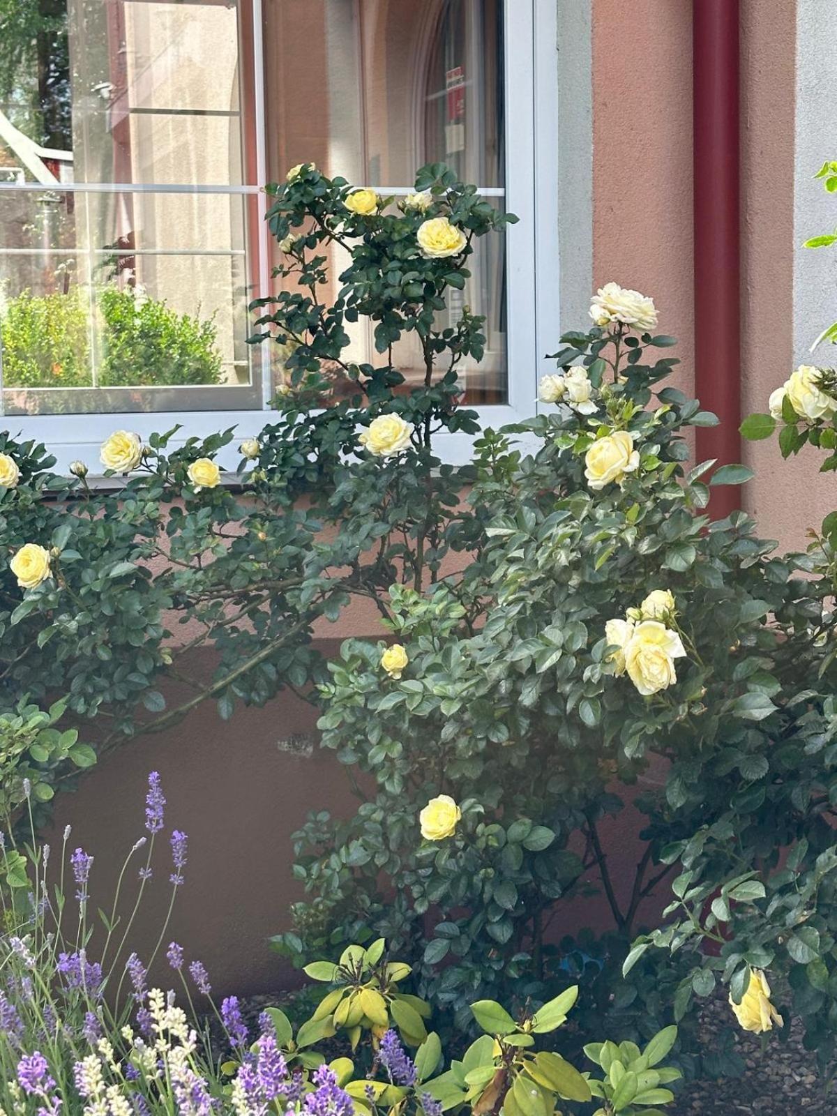 Karkoz Karpacz B&B 외부 사진